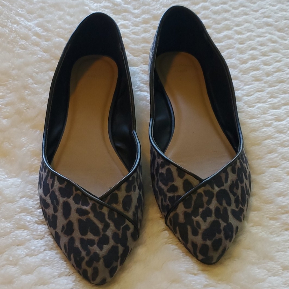 Gap Flats